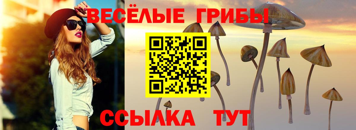 Галлюциногенные грибы прущие грибы  Вход с VPN  Галлюциногенные грибы ЛСД  Вязьма 
